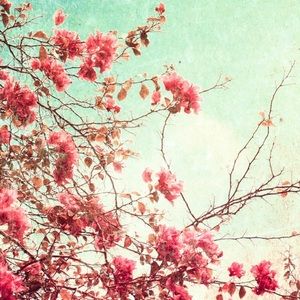 Meet your Posher, Marcia